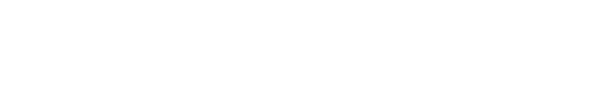 Nighthawk