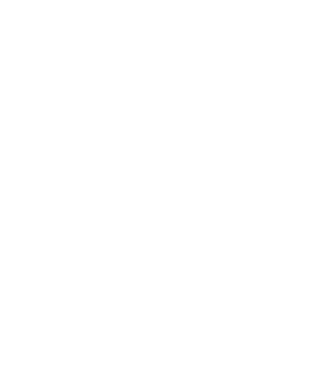 Nighthawk monogram